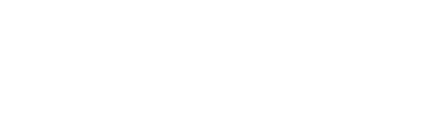 DavidAI Systems